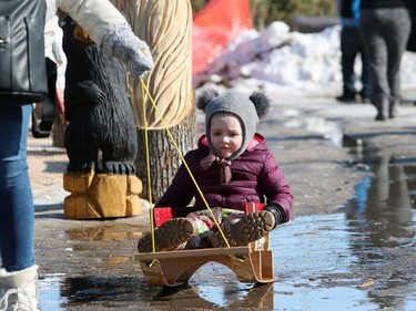 Marnie Gartrell pulls her two-year-old daughter Emme on a sled through a puddle of water at the 51st annual Festival du Voyageur in Winnipeg, Man., on Sunday, Feb. 23, 2020. Temperatures  were quite mild on the final day of Festival du Voyageur for 2020.