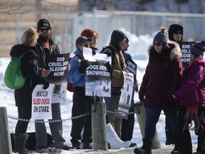 A small group of individuals protested against dogsledding Saturday at the Festival du Voyageur in Winnipeg.