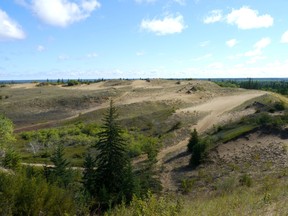 This September 1, 2013 photo shows sand dunes at Spirit Sands, located in the vast Spruce Woods Provincial Park, which is receiving provincial funds to upgrade trails.