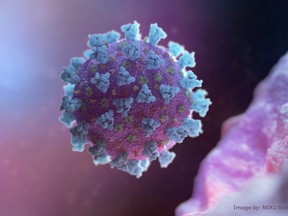 A computer image created by Nexu Science Communication together with Trinity College in Dublin, shows a model structurally representative of a betacoronavirus which is the type of virus linked to COVID-19, better known as the coronavirus linked to the Wuhan outbreak, shared with Reuters on Feb. 18, 2020.