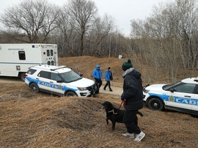 A man walks his dog on a hill in the Assiniboine Forest on Sunday as the Winnipeg Police Service continues to investigate human remains found in the area.