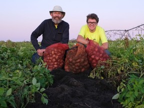 Manitoba potato producer Stan Wiebe and son Colson in an 2019 photo on their potato farm near MacGregor.