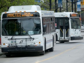 Transit buses in Winnipeg.