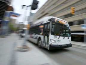 Winnipeg plans to begin a transition to zero-emission buses.