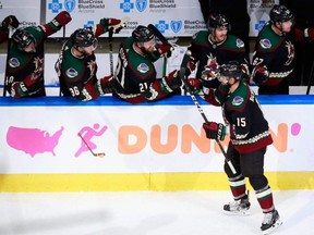 Coyotes forward Brad Richardson skates by the Coyotes bench to celebrate his goal against the Avalanche in Game 3 of the Western Conference First Round during the 2020 NHL Stanley Cup Playoffs at Rogers Place in Edmonton, Aug. 15, 2020.