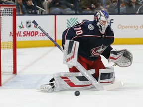 FILES: Columbus Blue Jackets goalie Joonas Korpisalo is looking like a bargain.