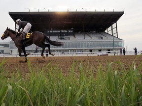The field is set for the 73rd running of the Manitoba Derby at the Assiniboia Downs on Aug. 2.