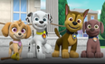 Paw Patrol is an animated children's television show.