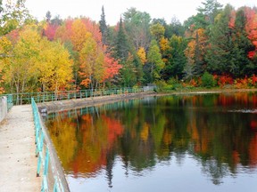 Changing colours are one of things people cite when they say fall is their favourite season.