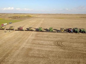 The combines of Harms’ friends and neighbours lined up (PHOTO BY ROB HARMS VIA TWITTER)