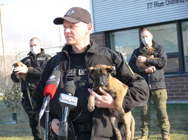 Sgt. Shawn Lowry of the Winnipeg Police Service K9 Unit addresses the media during a press conference at the WPS Canine Unit training centre on Friday, Oct. 23, 2020, to formally introduce five of a litter of seven puppies born into its in-house breeding program on Sept. 1. This is the first time a litter has been bred through the program using artificial insemination. The pups' mother is Police Service Dog (PSD) Ellie using the sperm of former PSD Judge, who provided samples nine years ago for the artificial insemination. The process allows WPS to combine the highly sought-after traits of former PSD Judge and PSD Ellie to ensure the highest quality K9s are working alongside officers in the community's service. Judge retired from the service in 2014 and passed away in 2015.