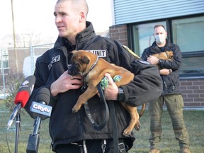 Patrol Sgt. Scott Taylor of the Winnipeg Police Service K9 Unit holds Jury as he addresses the media during a press conference at the WPS Canine Unit training centre on Friday to formally introduce five of a litter of seven puppies born into its in-house breeding program on Sept. 1. This is the first time a litter has been bred through the program using artificial insemination. The pups' mother is Police Service Dog (PSD) Ellie using the sperm of former PSD Judge, who provided samples nine years ago for the artificial insemination. The process allows WPS to combine the highly sought-after traits of former PSD Judge and PSD Ellie to ensure the highest quality K9s are working alongside officers in the community's service. Judge retired from the service in 2014 and passed away in 2015. Taylor was Judge's former handler.