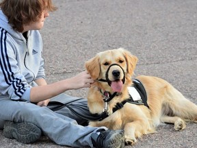 An image from the Watch My 6 Service Dogs website (watchmy6servicedogs.ca)