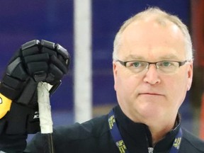 Brandon Wheat Kings named veteran coach Don MacGillivray as head coach on Tuesday.