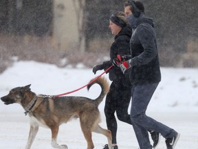 Two joggers with a dog in the snow, in Winnipeg on Saturday.