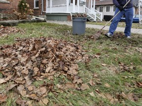 Even though the weather seems to encouraging it, it's too soon to be raking your yards.