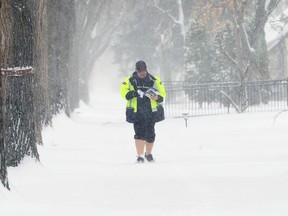 A Canada Post employee delivers mail in shorts and running shoes during a snowstorm in south Winnipeg on Monday.