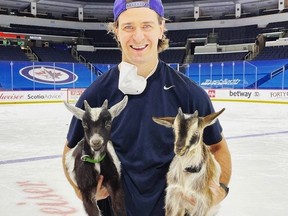 Mark Scheifele with his two goats, Tiger and Tom.