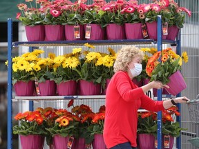 A person wears a mask while among brightly coloured flowers, in Winnipeg, during the third wave of COVID-19 on Saturday, May 1, 2021.