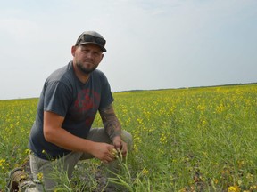 Korey Peters, seen here surveying his canola crops last summer at his Randolph farm, says seeding on his farm has been delayed this spring because of all the precipitation that fell last month. Photo by Dave Baxter /Winnipeg Sun/Local Journalism Initiative