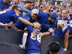 The Bombers returned in a big way with a 19-6 win over the Ticats. (Jason Halstead/Canadian Football League)