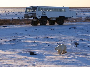 The new Manitoba Tourism Strategy, launched in July and led by a collaboration of the provincial government, the Manitoba Chambers of Commerce and Travel Manitoba, has a target to grow visitor spending by 50% to reach $2.5 billion by 2030.