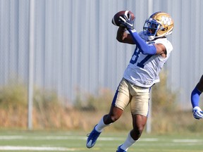 Winnipeg Blue Bombers' Kelvin McKnight makes a catch during practice.