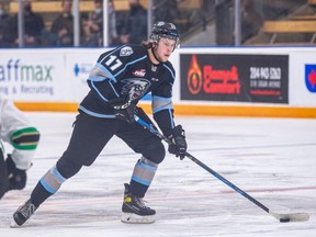 Owen Pederson is among some of the talent lighting it up for the Winnipeg Ice in the WHL.  Zach Peters/Winnipeg Ice