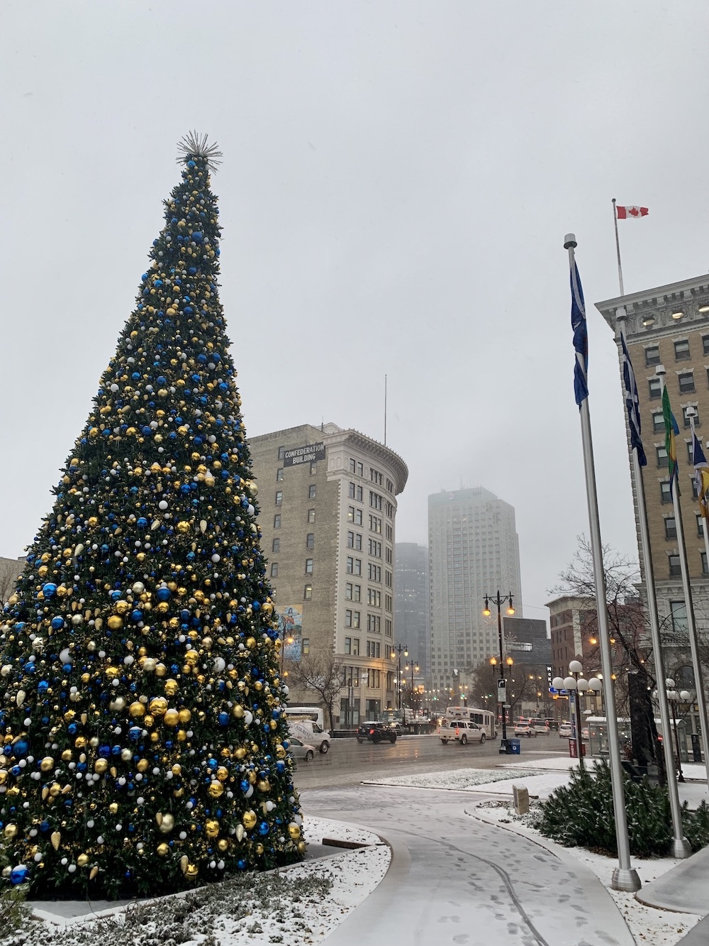 ‘TREE ENVY?’ City hall's new 50 foot Christmas tree cost a pretty penny