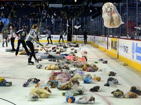 Ice crew gather teddy bears thrown on the ice during the Teddy Bear Toss in the first intermission of an AHL game between the Manitoba Moose and Cleveland Monsters on Saturday, Dec. 11, 2016. The Moose will be holding their Teddy Bear Toss on Saturday, Dec. 11 at 6 p.m. at Canada Life Centre.