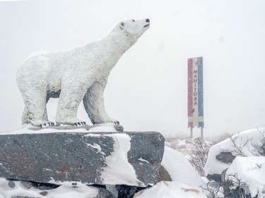 A polar bear statue is pictured during a blizzard in Churchill, Man., on Nov. 21, 2021.