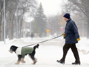 A man walks a dog across Park Boulevard North in blowing snow in Winnipeg on Wed., Nov. 17, 2021.  KEVIN KING/Winnipeg Sun/Postmedia Network