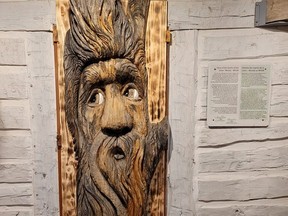 A well-preserved remnant of the carved “Spirit Tree” that stood in Winnipeg’s Bois-des-Esprits forest for 17 years before toppling over this past summer now has a new home at the Musée de Saint-Boniface Museum with the official unveiling held on Saturday. Known as Woody-Mhitik, this beloved figure was carved from the base of a towering elm tree whose lower trunk was stripped and salvaged after its massive crown was removed due to Dutch Elm Disease in 2004. Local carvers Walter Mirosh and Robert Leclair transformed the tree into two spirits, one looking up into the Bois-des-Esprits’
leafy canopy, with the other facing an oxbow of the nearby Seine River.