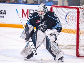 Winnipeg Ice goalie Daniel Hauser set a Canadian Hockey League record with 22-game unbeaten streak to start his WHL career.