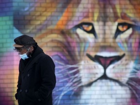A person wears a mask while walking past a mural depicting a lion in Winnipeg on Friday, Jan. 14, 2022.
