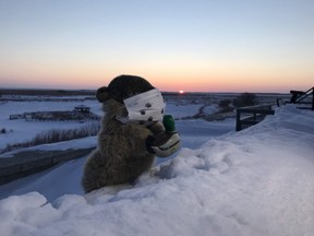 Manitoba Merv of Oak Hammock Marsh saw his shadow on Ground Hog's Day, Feb. 2, 2022. Oak Hammock Marsh photo