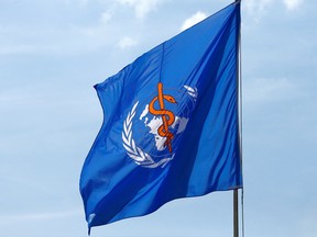 A WHO flag is pictured during the 70th World Health Assembly at the United Nations in Geneva, Switzerland, May 23, 2017.