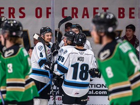 Members of the Winnipeg Ice celebrate a goal against the Prince Albert Raiders.