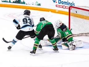 Winnipeg Ice’s Matthew Savoie scores against the Raiders last night.