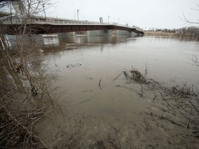 High water in the Red River in Winnipeg on  Friday, April 29. The province says an upcoming storm could cause levels on the Red River to be like the ones seen in 2009.