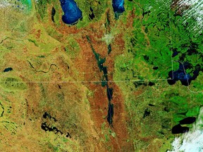 Flooding along the Red River on both sides of the Manitoba and Minnesota border is seen in false colour as observed by the Terra satellite in a May 10, 2022, handout image. THE CANADIAN PRESS/HO-NASA Earth Observatory, Lauren Dauphin