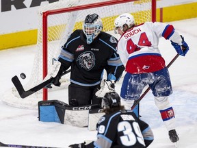 Goalie Gage Alexander and the Winnipeg Ice head into Game 5 of their best-of-seven Eastern Conference championship on Friday with their backs firmly upright against the wall, down 3-1 to the formidable Edmonton Oil Kings.  Greg Southam/Postmedia