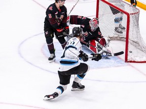 Owen Pederson of Winnipeg scores on Moose Jaw goalie Carl Tetachuk Friday night. Zachary Peters photo