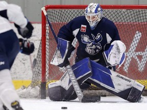 Manitoba Moose goaltender Mikhail Berdin faces a shot during practice in Winnipeg this week.  KEVIN KING/Winnipeg Sun