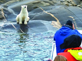 Lazy Bear Expeditions offers up-close wildlife encounters that are truly a once-in-a-lifetime adventure. The memorable excursions take explorers to the very heart of polar bear country, in Churchill, Man.