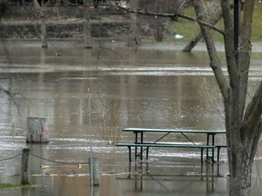 Flooding in a park along the Assiniboine River in Winnipeg on Wednesday.  Chris Procaylo/Winnipeg Sun