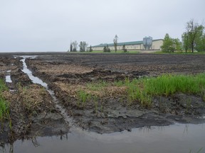 A stream of water runs thought a farmer’s field near Ile Des Chenes, south of Winnipeg, on Monday. With more wet weather predicted for southern Manitoba on Monday and Tuesday, some are getting concerned about when farmers will be able to get their crops into the ground this growing season.