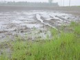 A saturated farmer's field is seen near Ile Des Chenes, south of Winnipeg, on Monday, May 30, 2022. Winnipeg Sun file