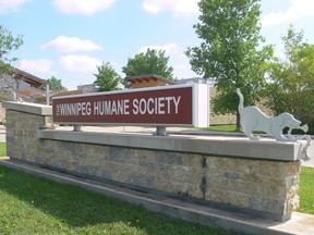Winnipeg Humane Society is holding an open house Sunday to encourage more Winnipeggers to foster dogs in their care as WHS currently has a list of long-term shelter dogs looking for an immediate placement in a foster home.