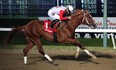 Manitoba Derby winner.